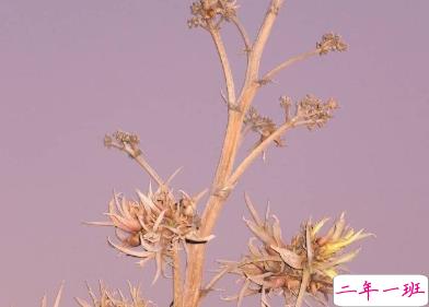 2020年只剩100天朋友圈语录 心情感言伤感说说3