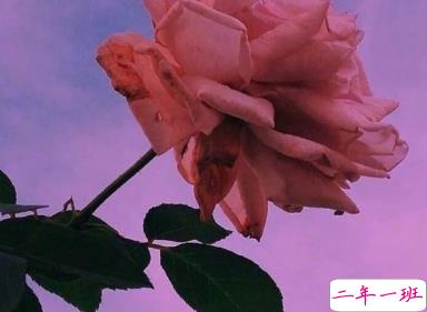 那些能够触动到你的热评 一晃两三年匆匆又秋天13