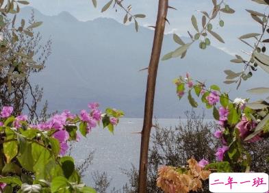 2020年只剩100天朋友圈语录 心情感言伤感说说6