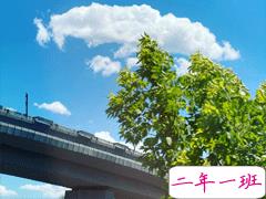 心情低落时可以看的句子  不要去反复思考同一个问题