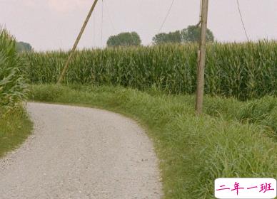 2020年只剩100天朋友圈语录 心情感言伤感说说9