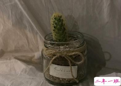 2020年只剩100天朋友圈语录 心情感言伤感说说14