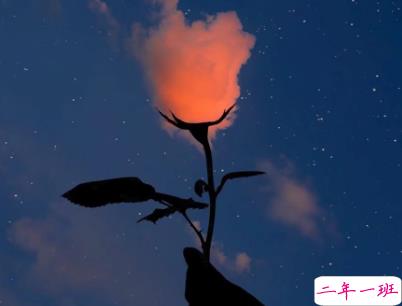 心情低落的伤感句子带图片 是自己太自作多情了1