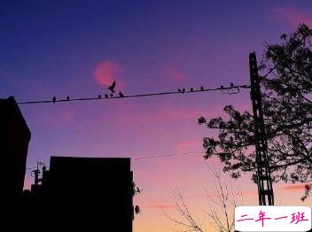 生活中令人难过的伤感说说 泪水不总是表示悲伤11