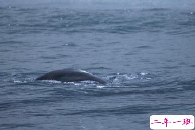 最新伤感唯美个性简短诗意说说 年华虚度空有一身疲倦7