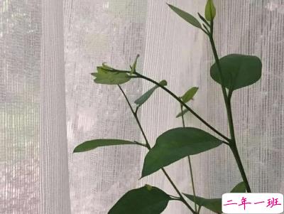 心情低落的伤感句子带图片 是自己太自作多情了6