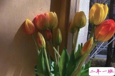 最新伤感唯美个性简短诗意说说 年华虚度空有一身疲倦11