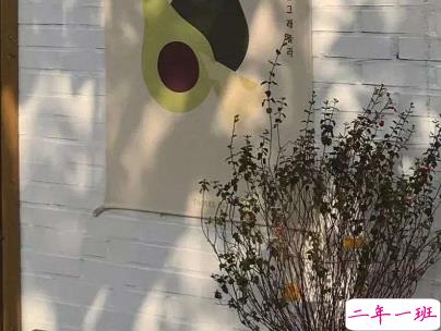 心情低落的伤感句子带图片 是自己太自作多情了9