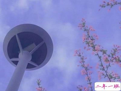 心情低落的伤感句子带图片 是自己太自作多情了11