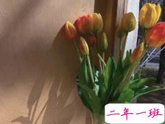 最新伤感唯美个性简短诗意说说 年华虚度空有一身疲倦