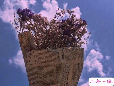 心情低落的伤感句子带图片 是自己太自作多情了15