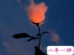 心情低落的伤感句子带图片 是自己太自作多情了