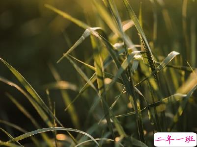 暖心美好微信句子带图片 特别美好的小句子7