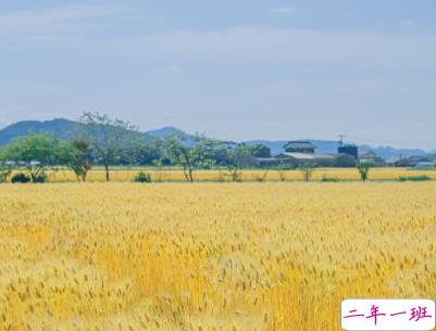 暖心美好微信句子带图片 特别美好的小句子9