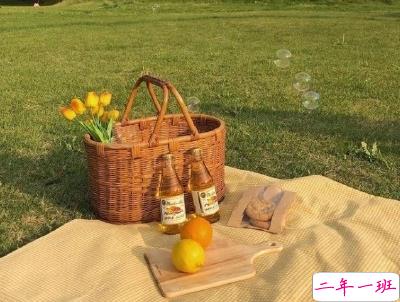 春游野炊的说说带图片 适合周野餐发朋友圈的句子9