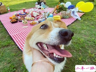 春游野炊的说说带图片 适合周野餐发朋友圈的句子12