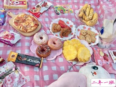 春游野炊的说说带图片 适合周野餐发朋友圈的句子14