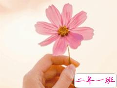 超级温柔的春天说说带图片 抖音春天文案说说