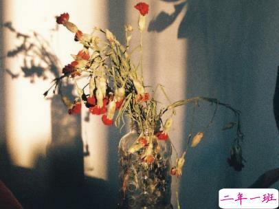 早安暖心话带图片 早上一句话暖心句子2