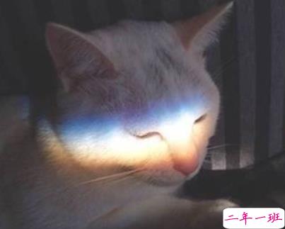 一个人深夜发的伤感说说带图片 聚散离合都在情理之中6