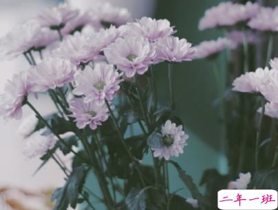 早安暖心话带图片 早上一句话暖心句子4