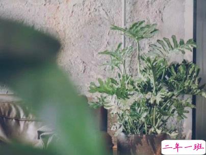 一个人深夜发的伤感说说带图片 聚散离合都在情理之中8