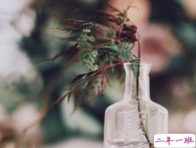 早安暖心话带图片 早上一句话暖心句子8