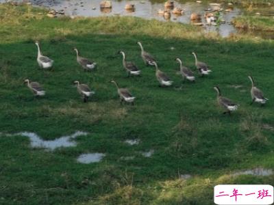 分手文案带图片 一句话分手说说12