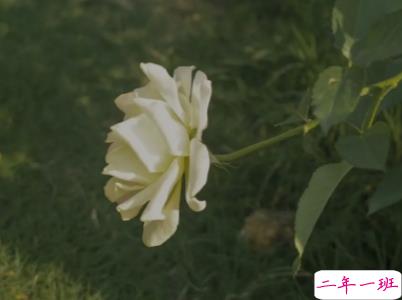 分手文案带图片 一句话分手说说13