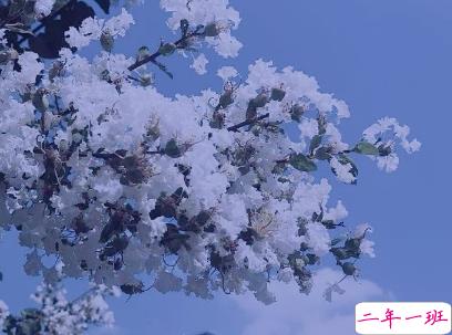 真的好累的说说带图片 累了倦了的心情说说13