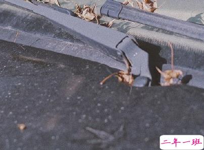 身心疲惫的说说带图片 一个人感到心累的句子2