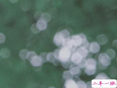 身心疲惫的说说带图片 一个人感到心累的句子7