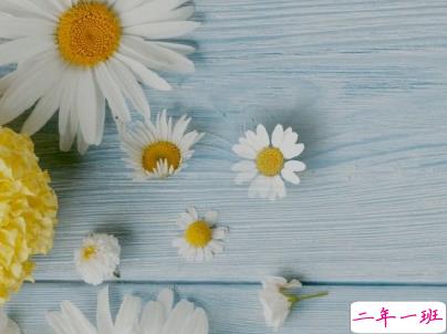 身心疲惫的说说带图片 一个人感到心累的句子13