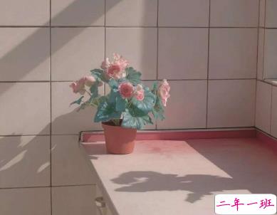 特别悲伤难过的说说配图 伤透心流干泪的心情说说4