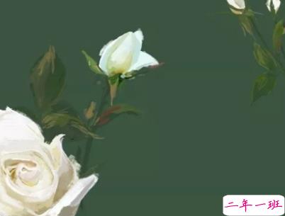 爱而不得悲伤文案 遗憾错过的感情句子配图13