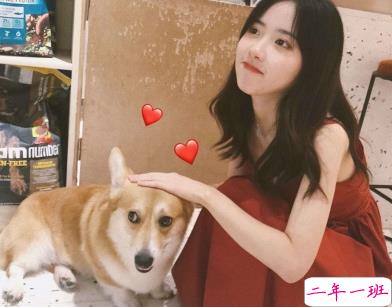 微信朋友圈晒宠物说说带图片 宠物说说可爱配图13