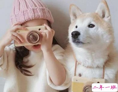 微信朋友圈晒宠物说说带图片 宠物说说可爱配图15