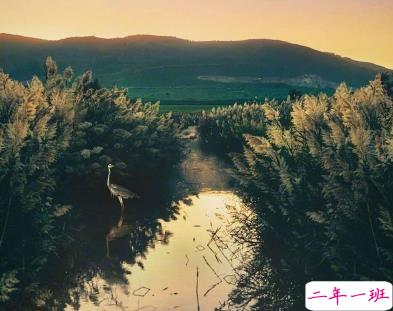 女生朋友圈伤心说说带图片 想不开很难过的心情说说2