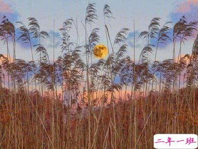 女生朋友圈伤心说说带图片 想不开很难过的心情说说4