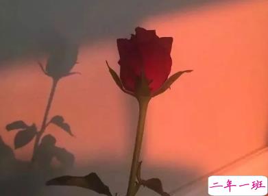 女生朋友圈伤心说说带图片 想不开很难过的心情说说12