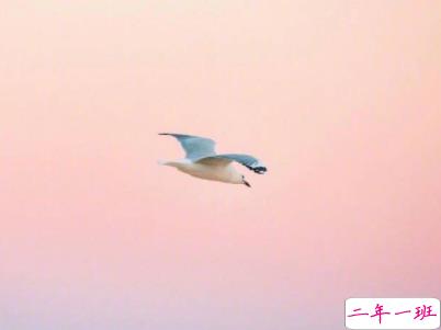 心情好的说说短句带图片 心情愉悦的简单说说3