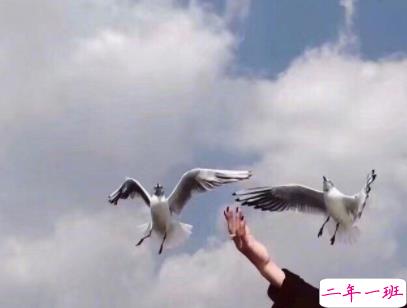 心情好的说说短句带图片 心情愉悦的简单说说6