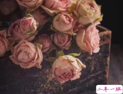 出去玩晒朋友圈的句子配图 抖音最火旅游说说短句7