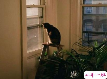 不离不弃的好基友说说带图片 男生兄弟情朋友圈说说12