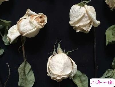 七夕伤感说说配图2019 七夕很忧伤的心情短语带图片8