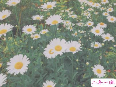 出去玩晒朋友圈的句子配图 抖音最火旅游说说短句10