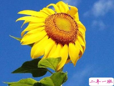 中秋节旅游发的说说配图 2019外出玩发微信的句子1