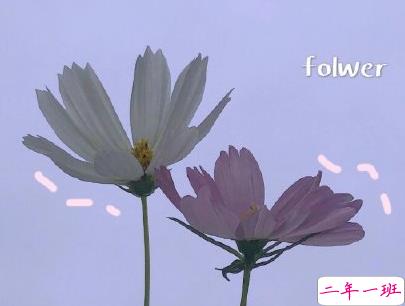 中秋节旅游发的说说配图 2019外出玩发微信的句子8