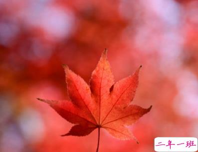 描写秋天的句子优美带图片 秋天到了微信心情说说1