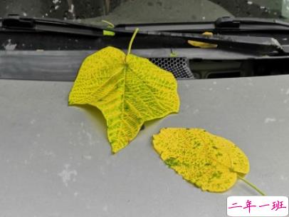 描写秋天的句子优美带图片 秋天到了微信心情说说2